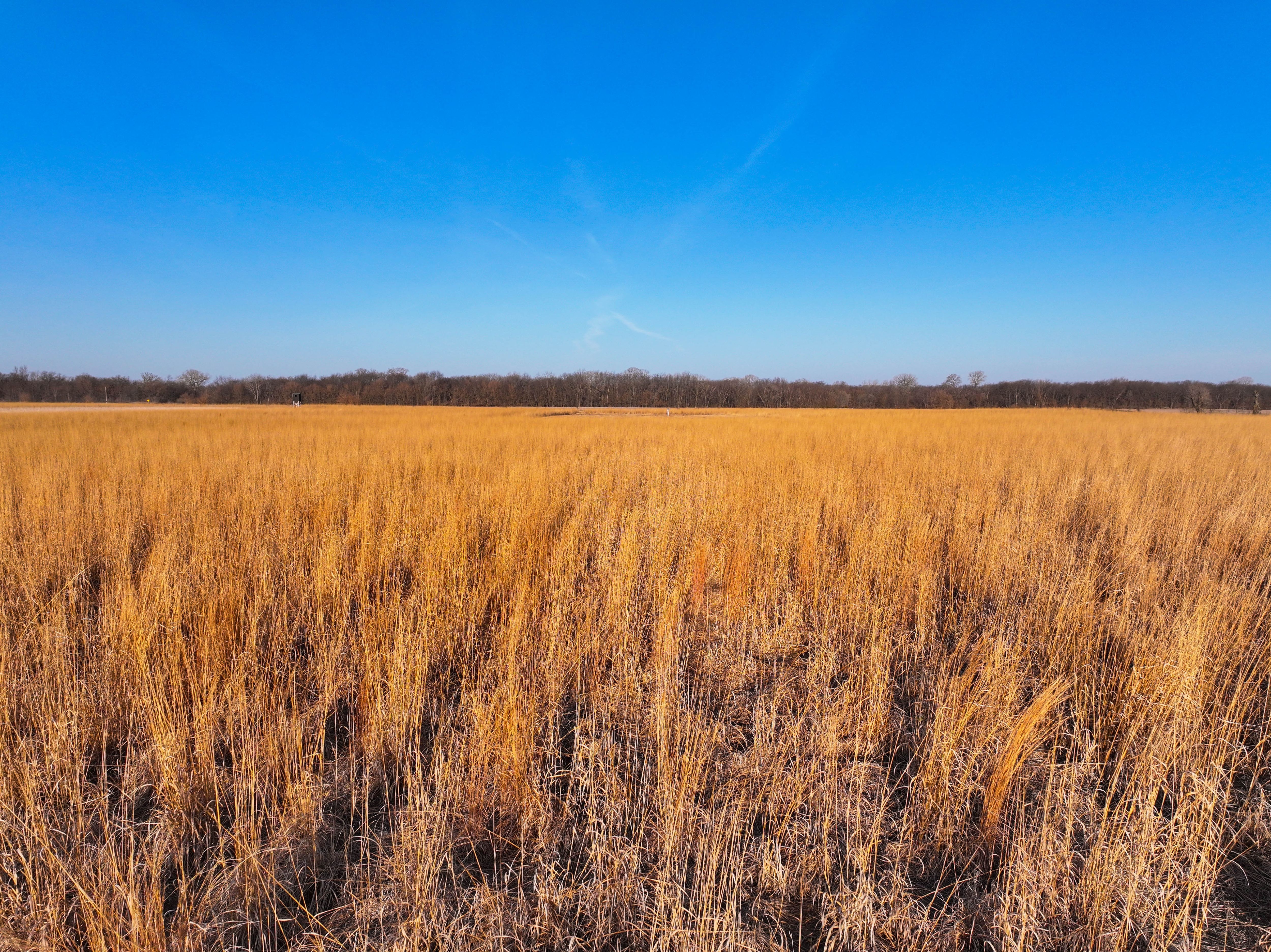 Listing Photo: Johnson County Recreational Farm For Sale